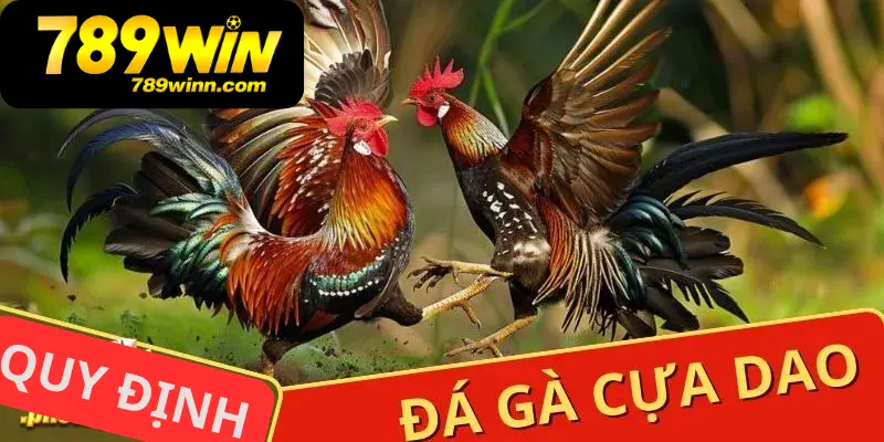 Quy định về việc thu gà trong đá gà cựa dao tại 789Win