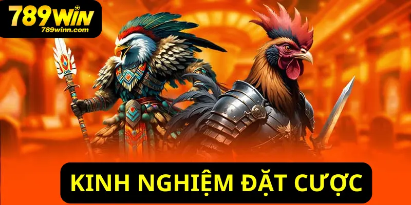 Kinh nghiệm đặt cược đá gà cựa dao cực chuẩn