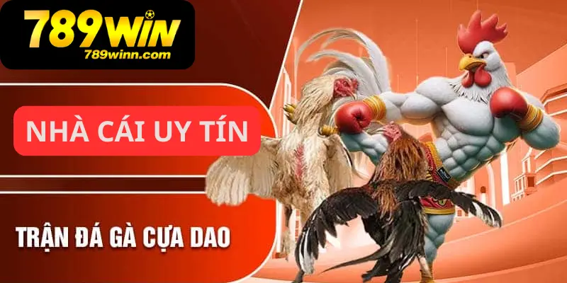 Thông tin về đá gà cựa dao tại 789Win